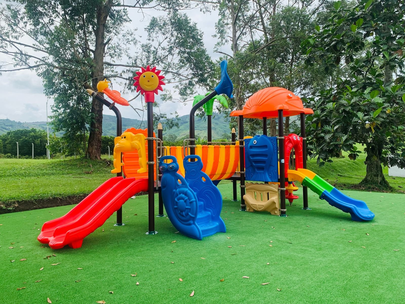 whatsapp image 2025 02 22 at 8.52.35 am (8)